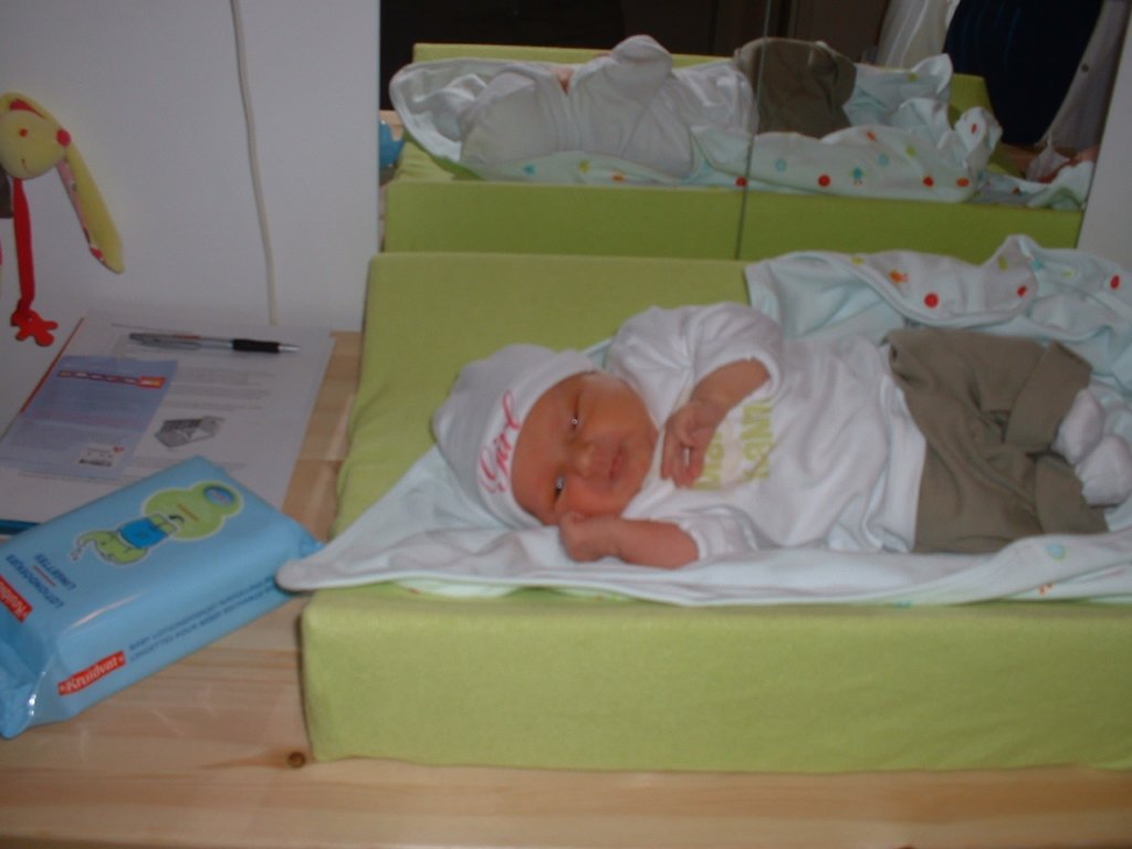 dscf0365.jpg