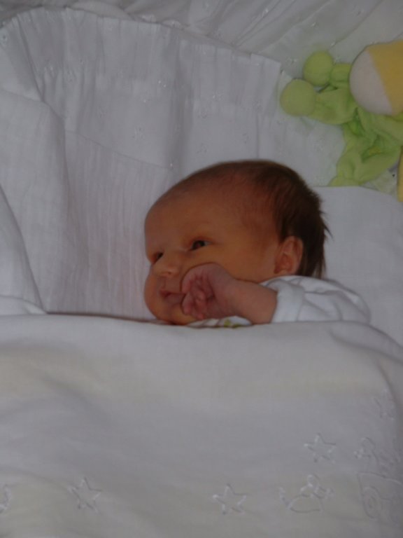 dscf0369.jpg