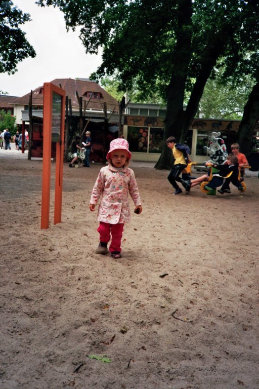 imm002_2a.jpg