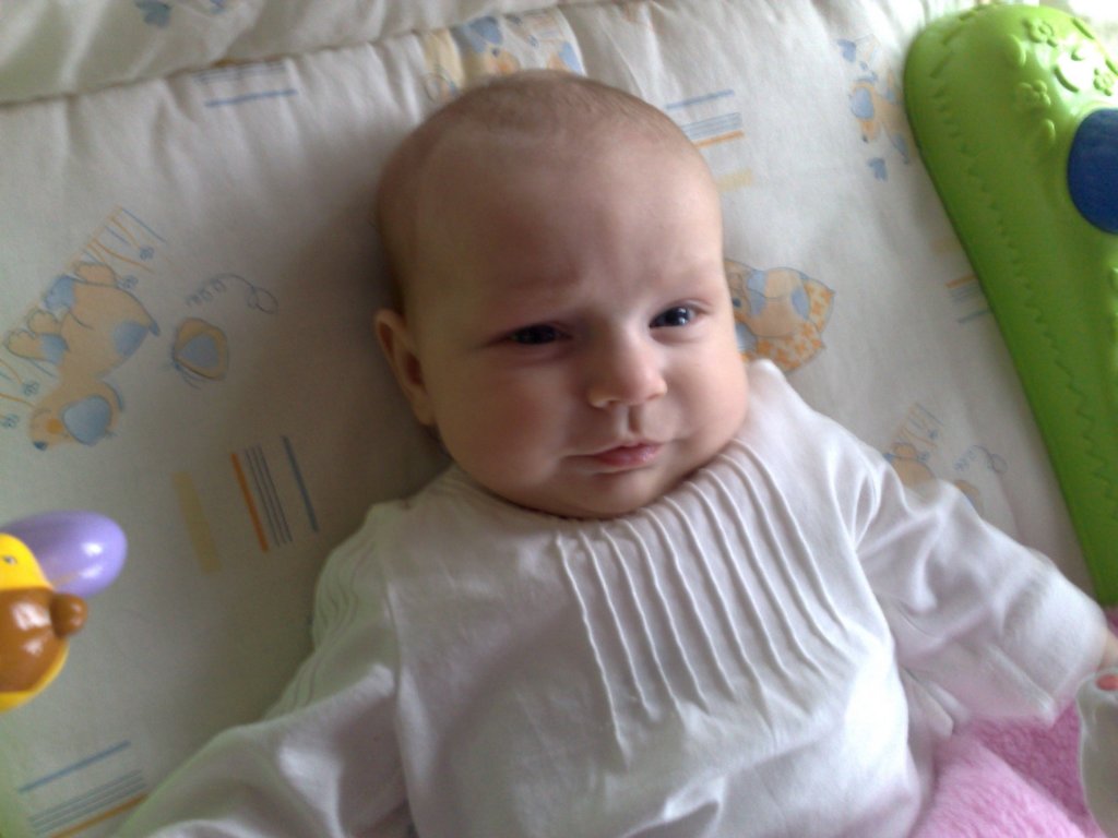 photo100.jpg