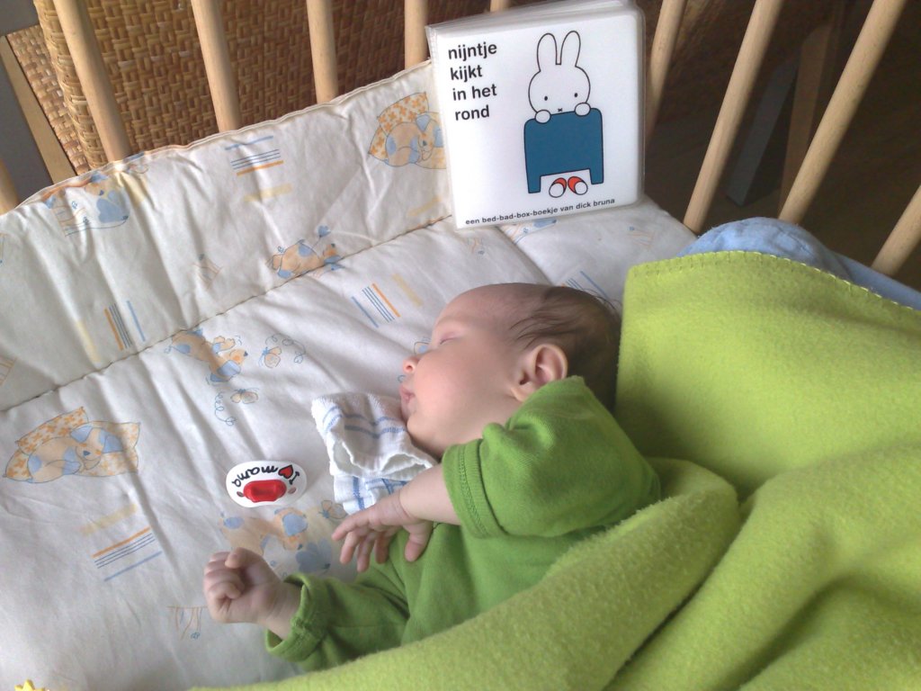 photo11.jpg