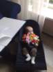 photo118_small.jpg