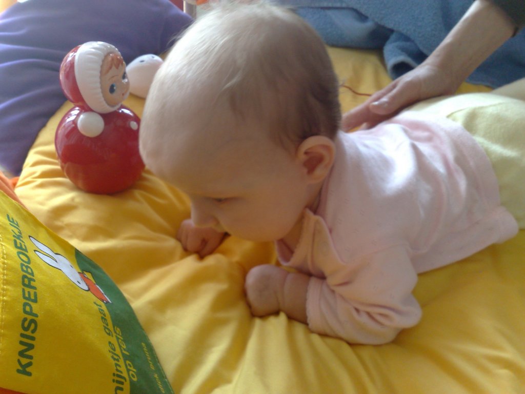 photo145.jpg