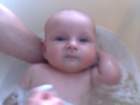 photo153_small.jpg