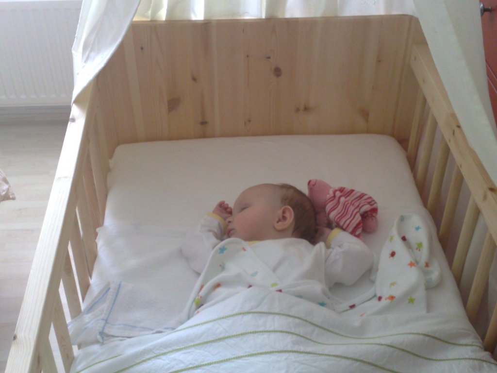 photo158.jpg