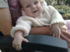 photo268_small.jpg