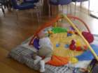 photo293_small.jpg