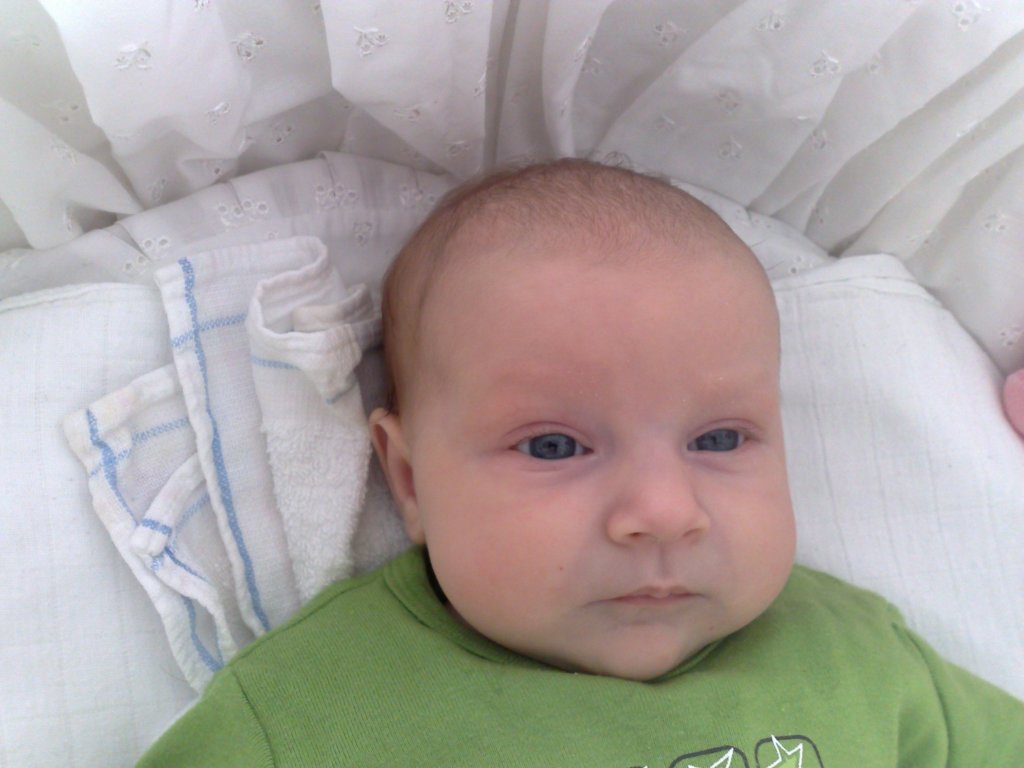 photo61.jpg