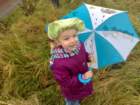 photo681_small.jpg