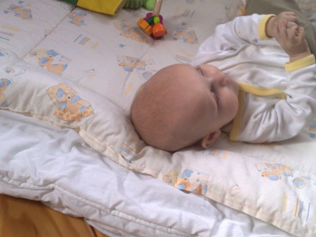 photo222.jpg