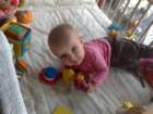 photo341_small.jpg