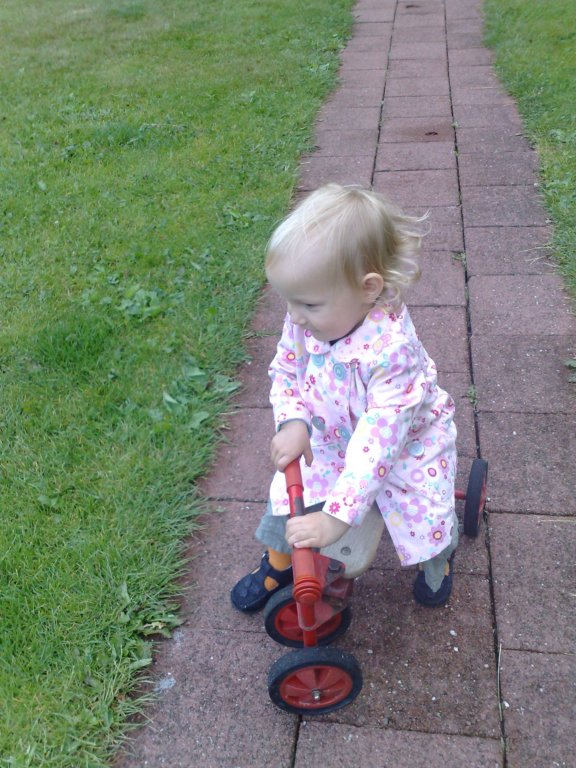 photo513.jpg