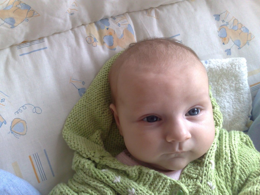 photo92.jpg